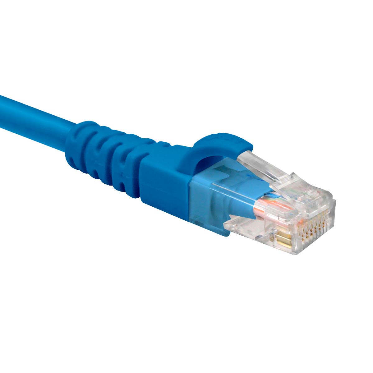 Conector RJ45 chapado en oro del cable de red Nexxt Cat6 azul 0.3m